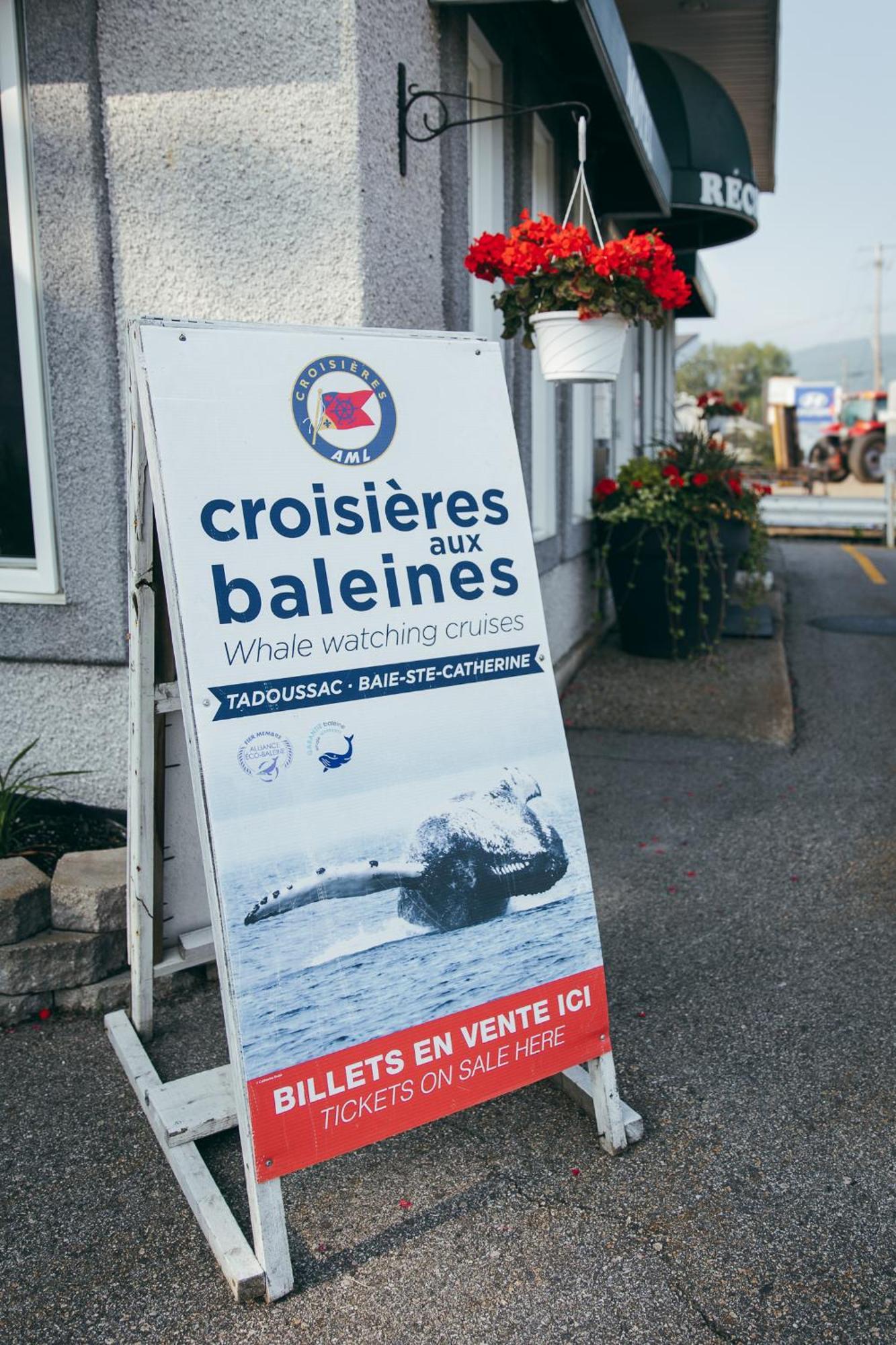 Motel Des Cascades Baie-Saint-Paul Kültér fotó