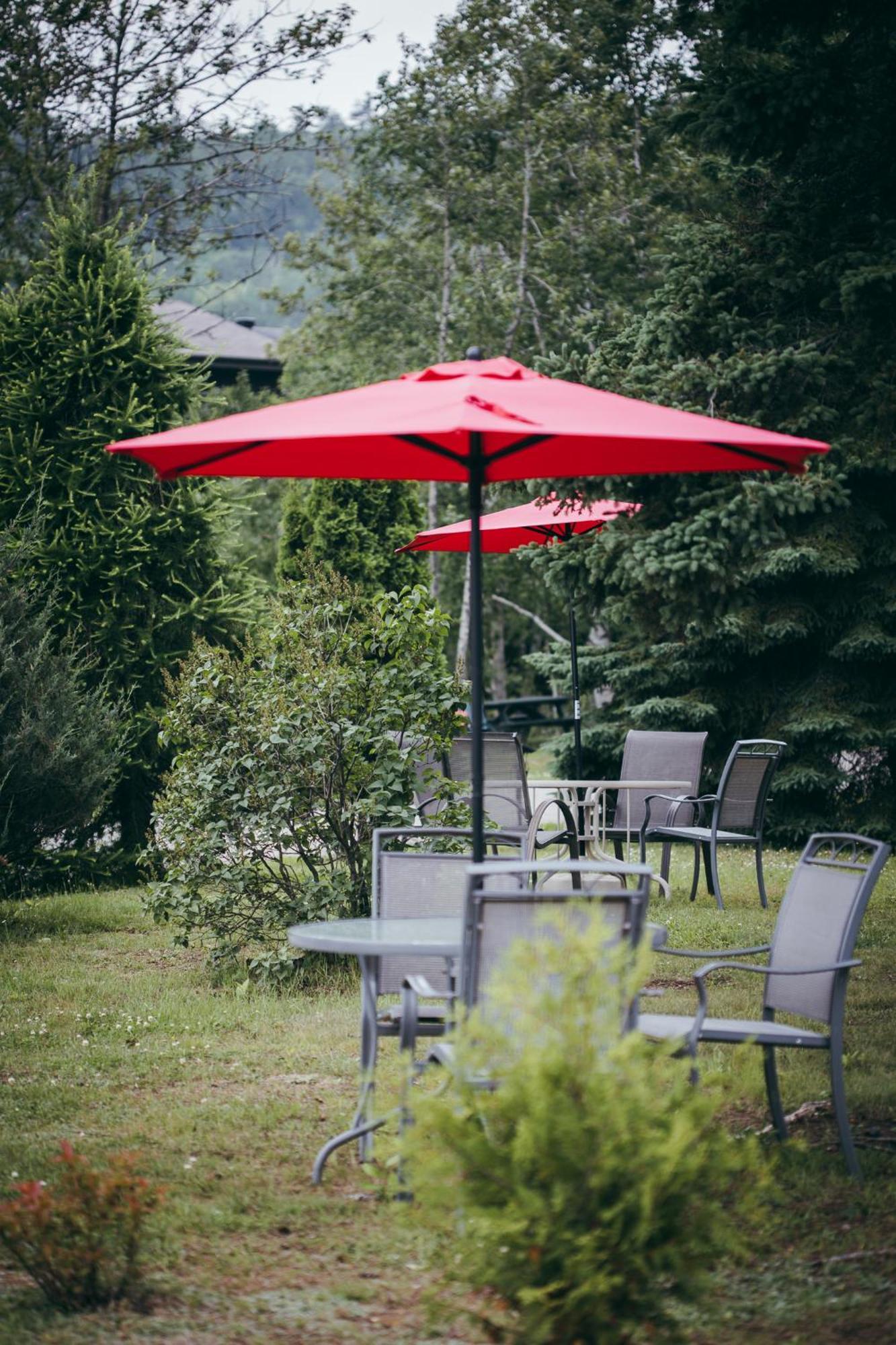 Motel Des Cascades Baie-Saint-Paul Kültér fotó