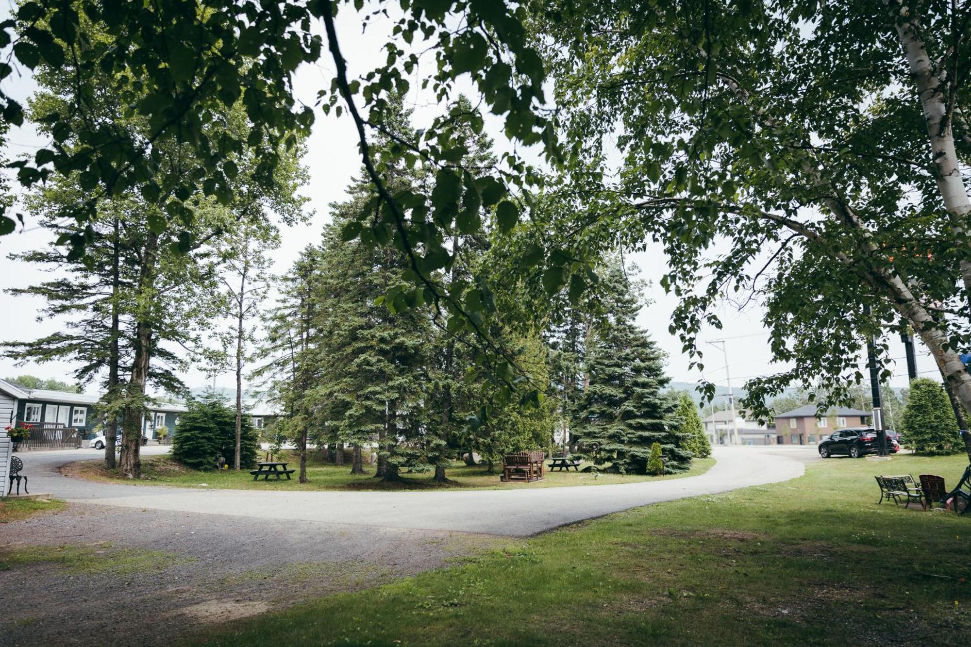 Motel Des Cascades Baie-Saint-Paul Kültér fotó